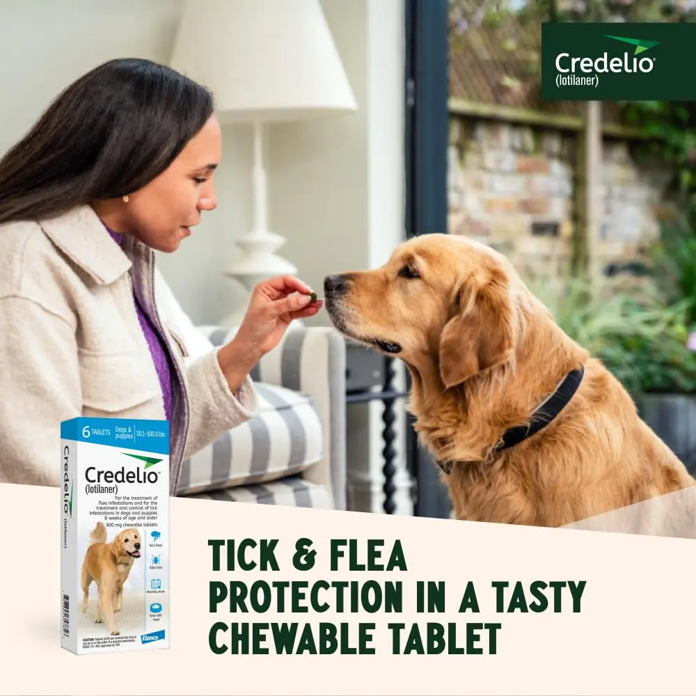 Credelio Tick & Flea Treatment for Dogs 50.1-100 lbs. | Fast-Acting Chewable Infestation Prevention - view 7
