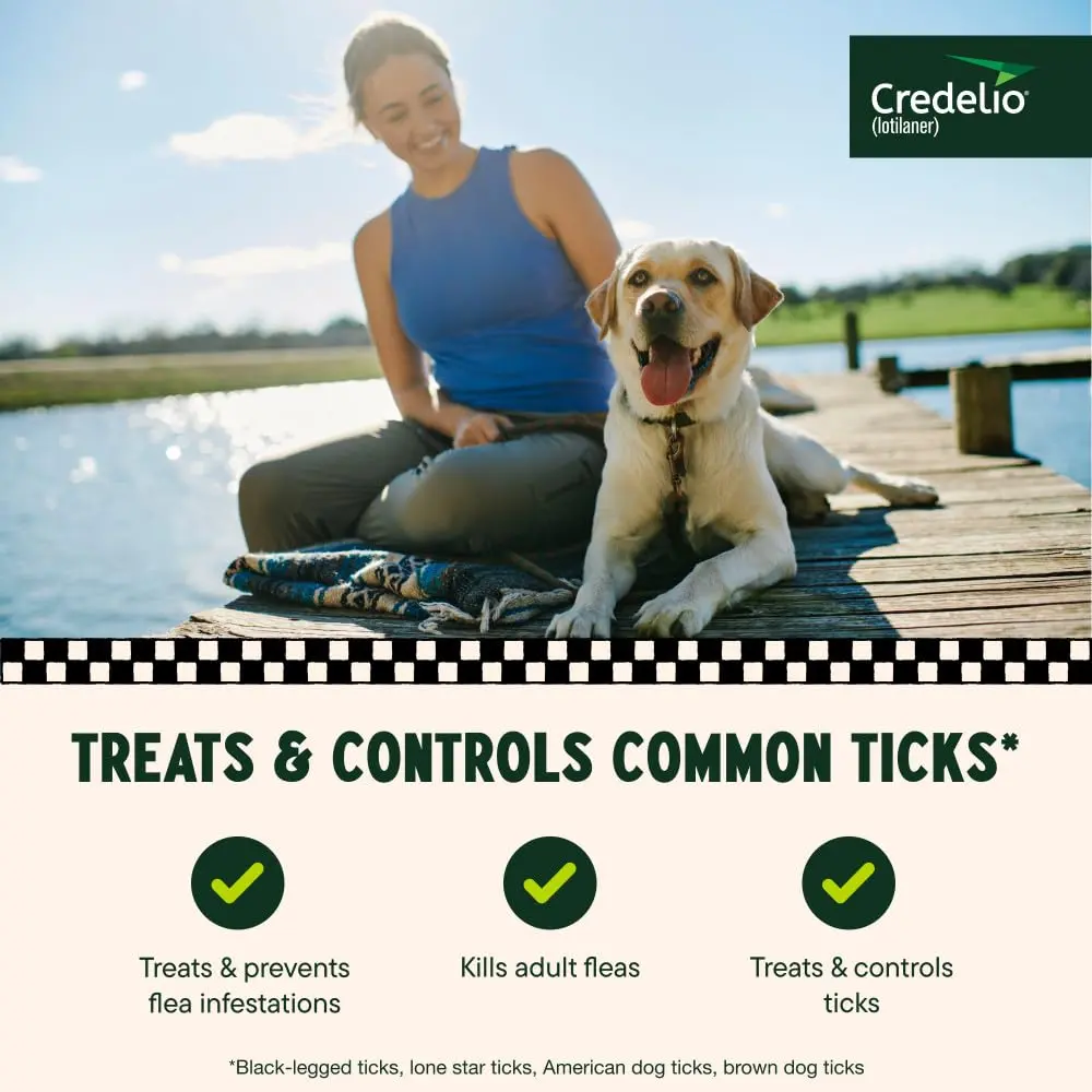 Credelio Tick & Flea Treatment for Dogs 50.1-100 lbs. | Fast-Acting Chewable Infestation Prevention - view 3