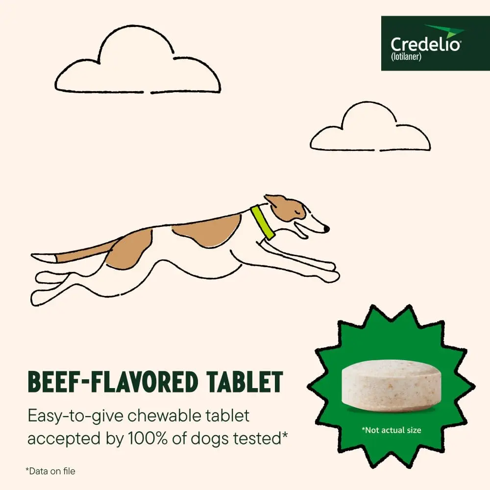 Credelio Tick & Flea Treatment for Dogs 50.1-100 lbs. | Fast-Acting Chewable for Dogs - view 5