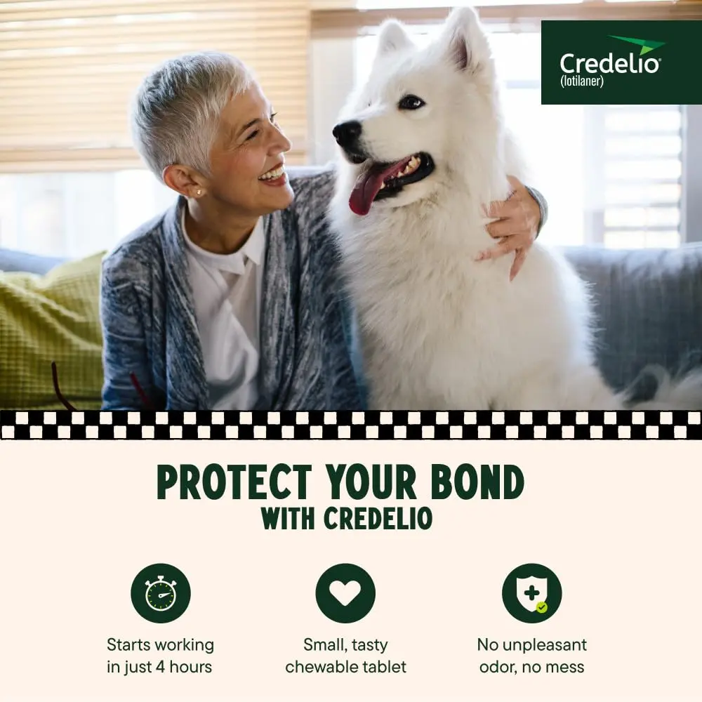 Credelio Tick & Flea Treatment for Dogs 50.1-100 lbs. | Fast-Acting Chewable for Dogs - view 2