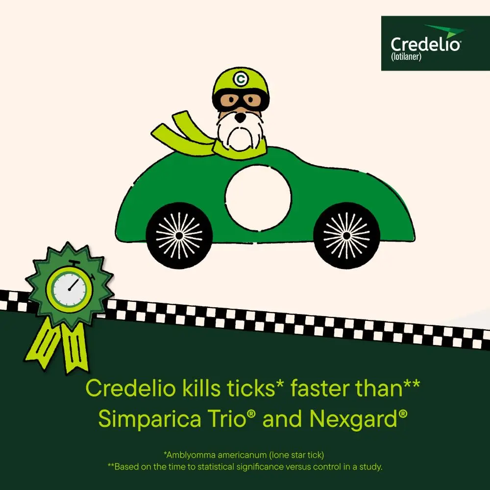 Credelio Tick & Flea Treatment for Dogs 50.1-100 lbs. | Fast-Acting Chewable for Dogs - view 4