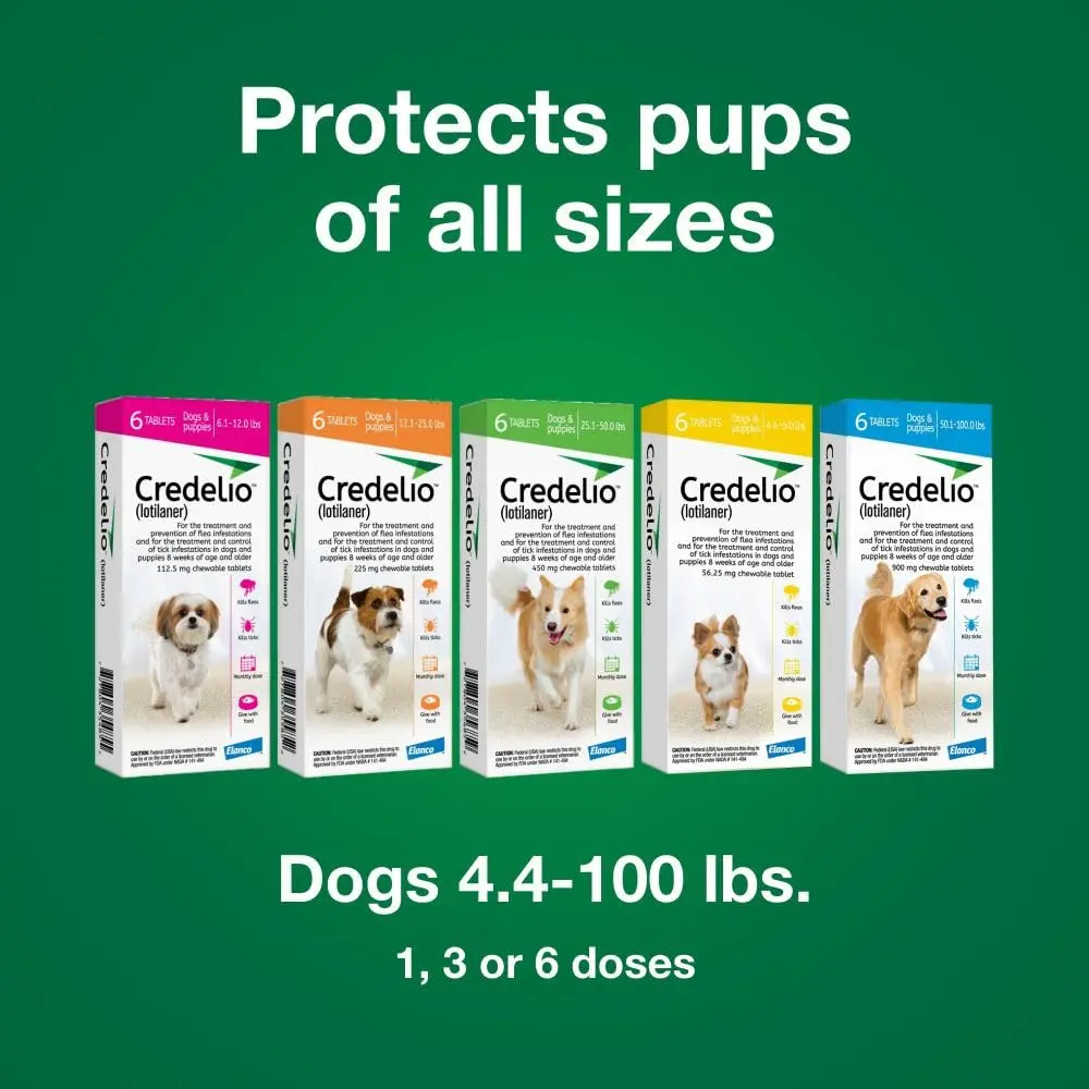 Credelio Chewable for Dogs 25.1-50 lbs | Fast-Acting Tick & Flea Protection - view 9