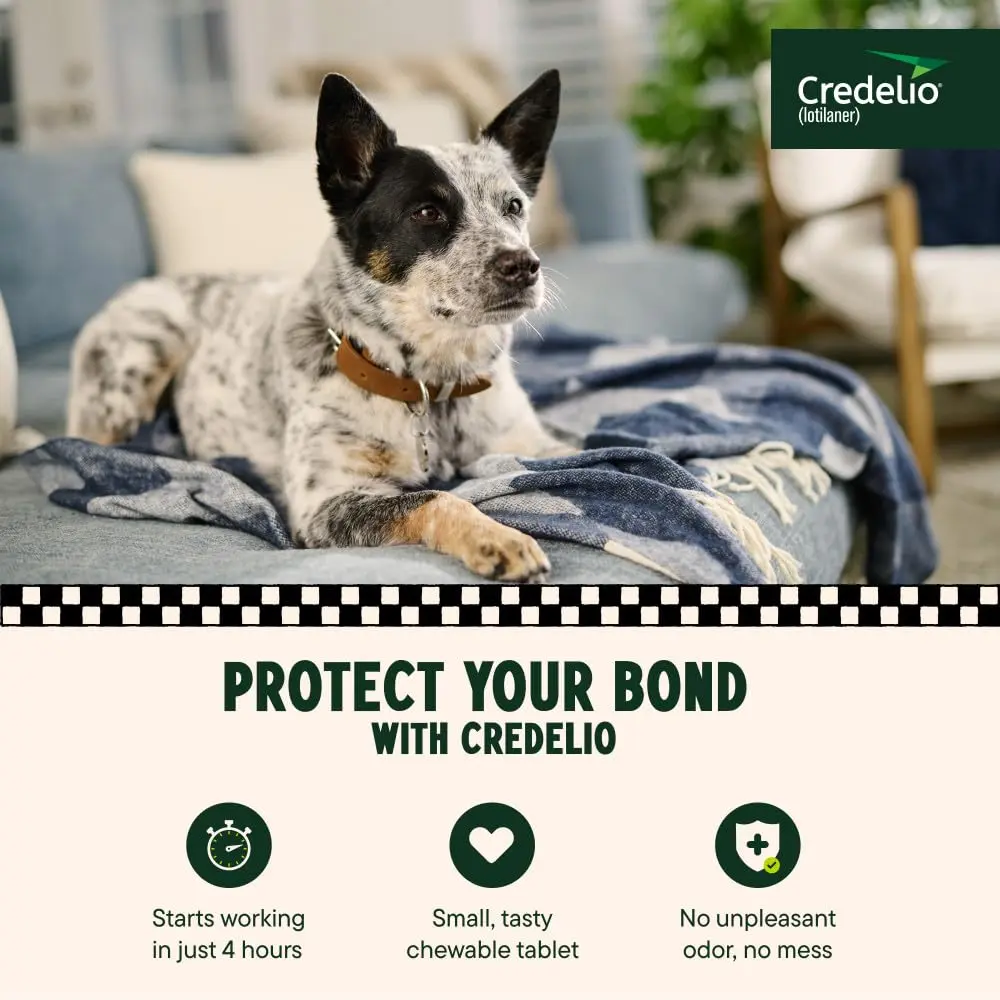 Credelio Chewable for Dogs 25.1-50 lbs | Fast-Acting Tick & Flea Protection - view 2