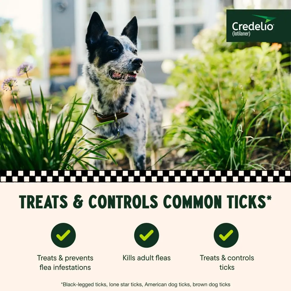 Credelio Chewable for Dogs 25.1-50 lbs | Fast-Acting Tick & Flea Protection - view 3