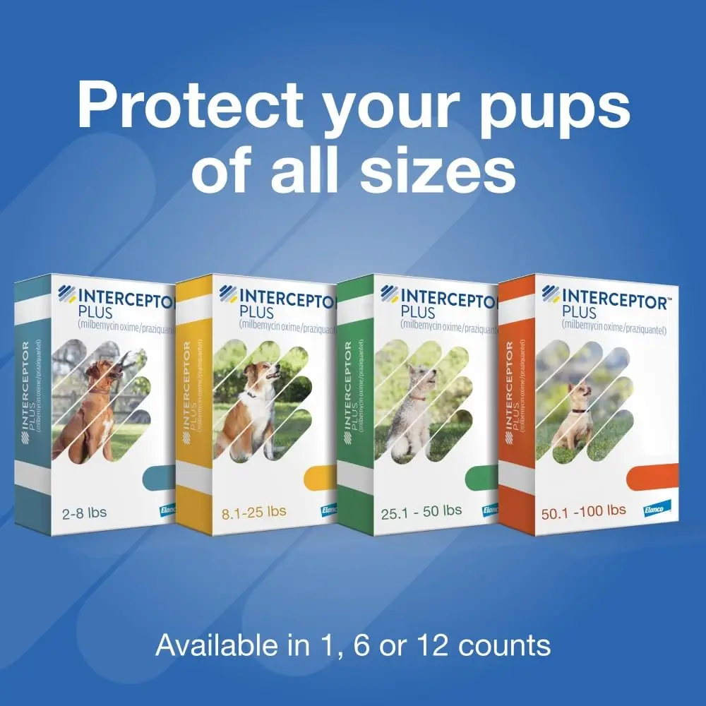 Interceptor Plus Monthly Tablets for Dogs 25.1-50 lbs. | 5-in-1 Heartworm & Worm Protection - view 9