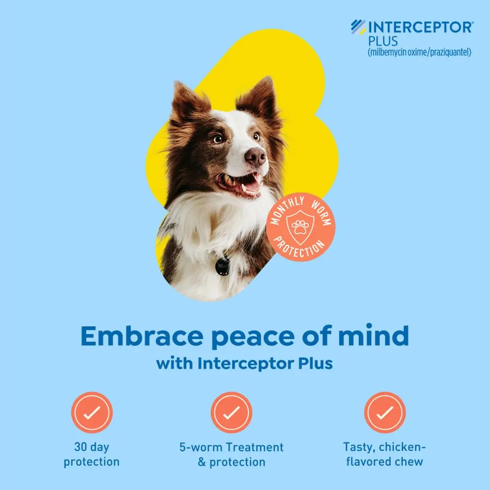 Interceptor Plus Monthly Tablets for Dogs 25.1-50 lbs. | 5-in-1 Heartworm & Worm Protection - view 2