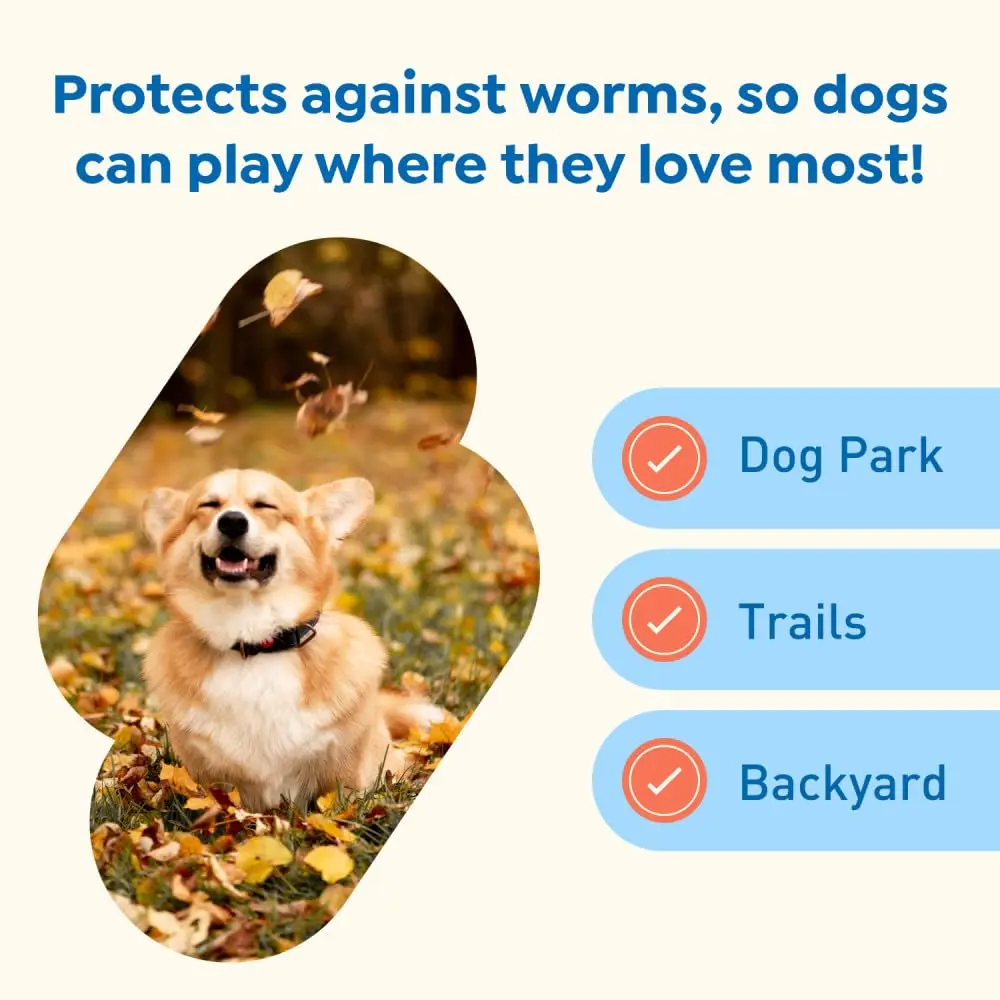 Interceptor Plus Monthly Tablets for Dogs 8.1-25 lbs. | Heartworm & Worm Protection (110 characters) - view 5