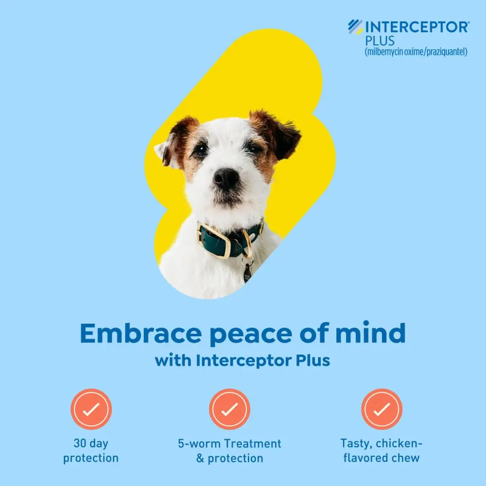 Interceptor Plus Monthly Tablets for Dogs 8.1-25 lbs. | Heartworm & Worm Protection (110 characters) - view 2