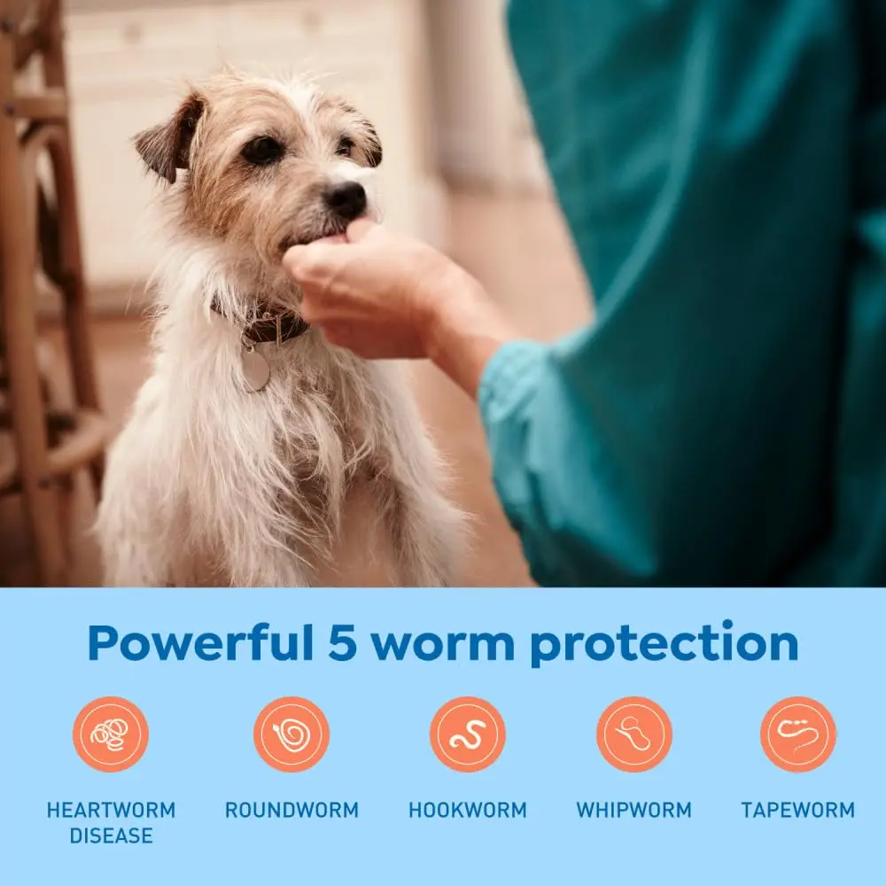 Interceptor Plus Monthly Tablets for Dogs 8.1-25 lbs. | Heartworm & Worm Protection (110 characters) - view 3