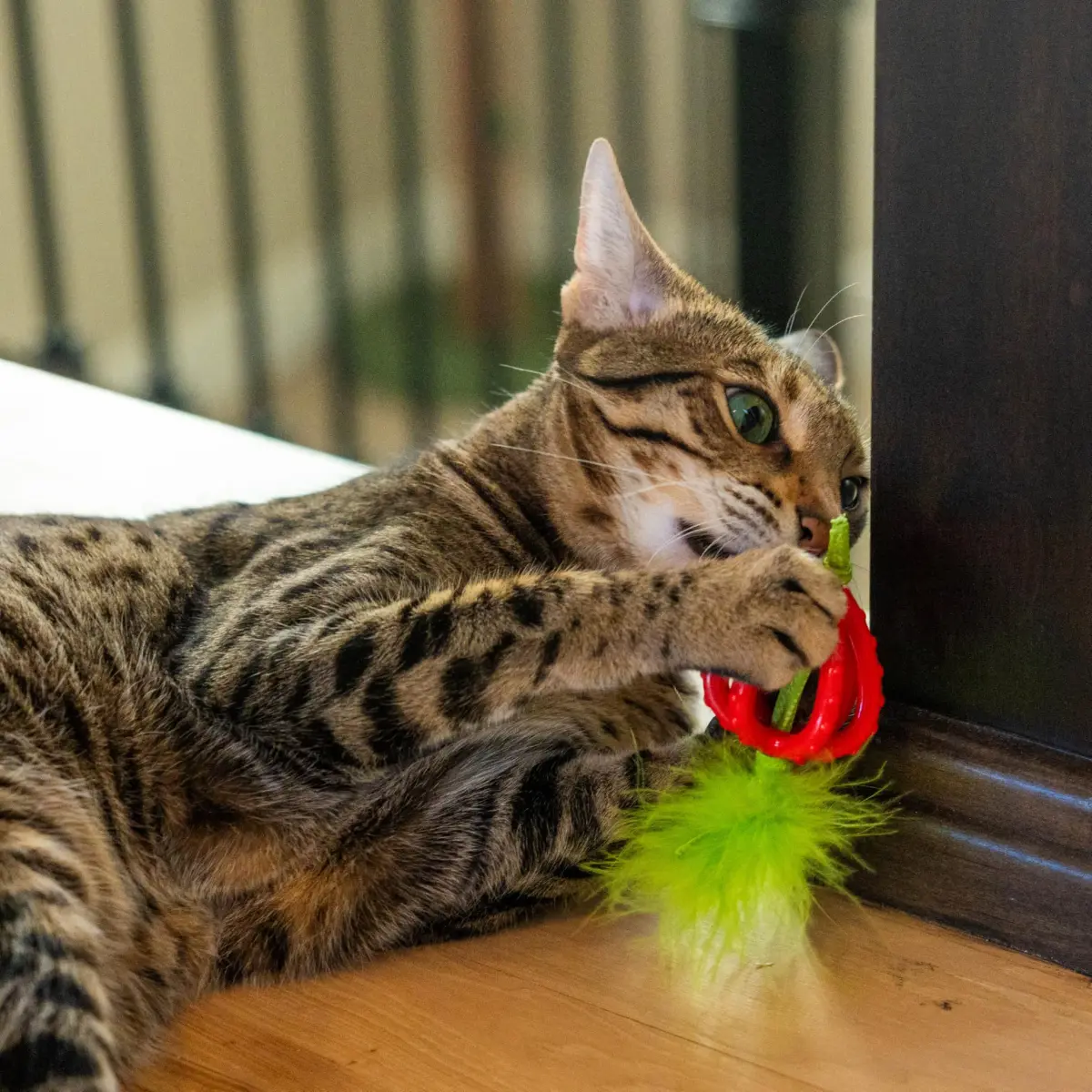 Catstages Dental Strawberry Teether Cat Chew Toy with Catnip, 4" | Helps Keep Teeth Clean - view 6