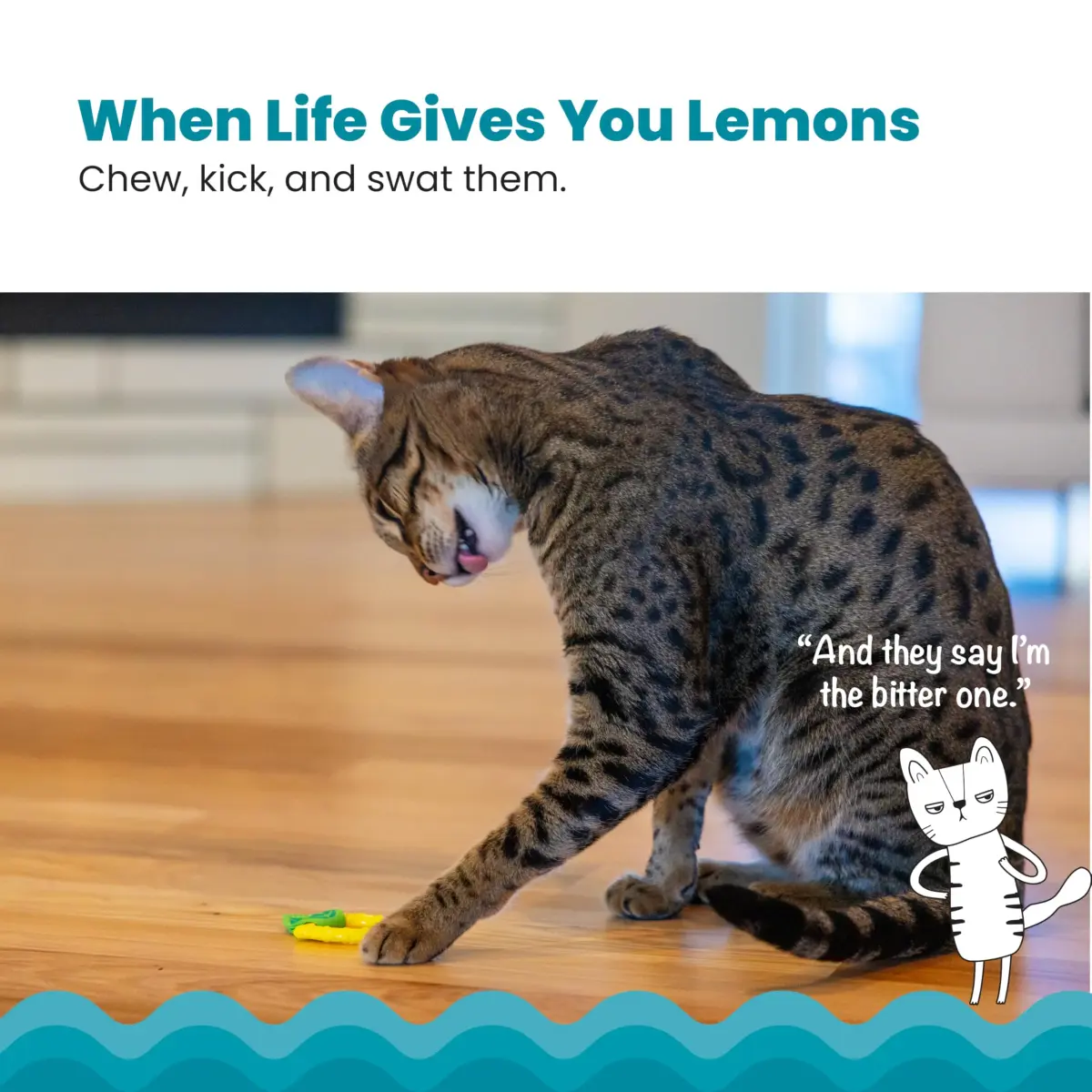 Catstages Dental Lemon Teether Interactive Chew Cat Toy with Catnip, 2.4" | Soft & Multi-Textured, Helps Keep Teeth Clean, Massages Gums, Catnip Oil Coating, Bat & Carry, Enrichment for Cats & Kittens - view 2
