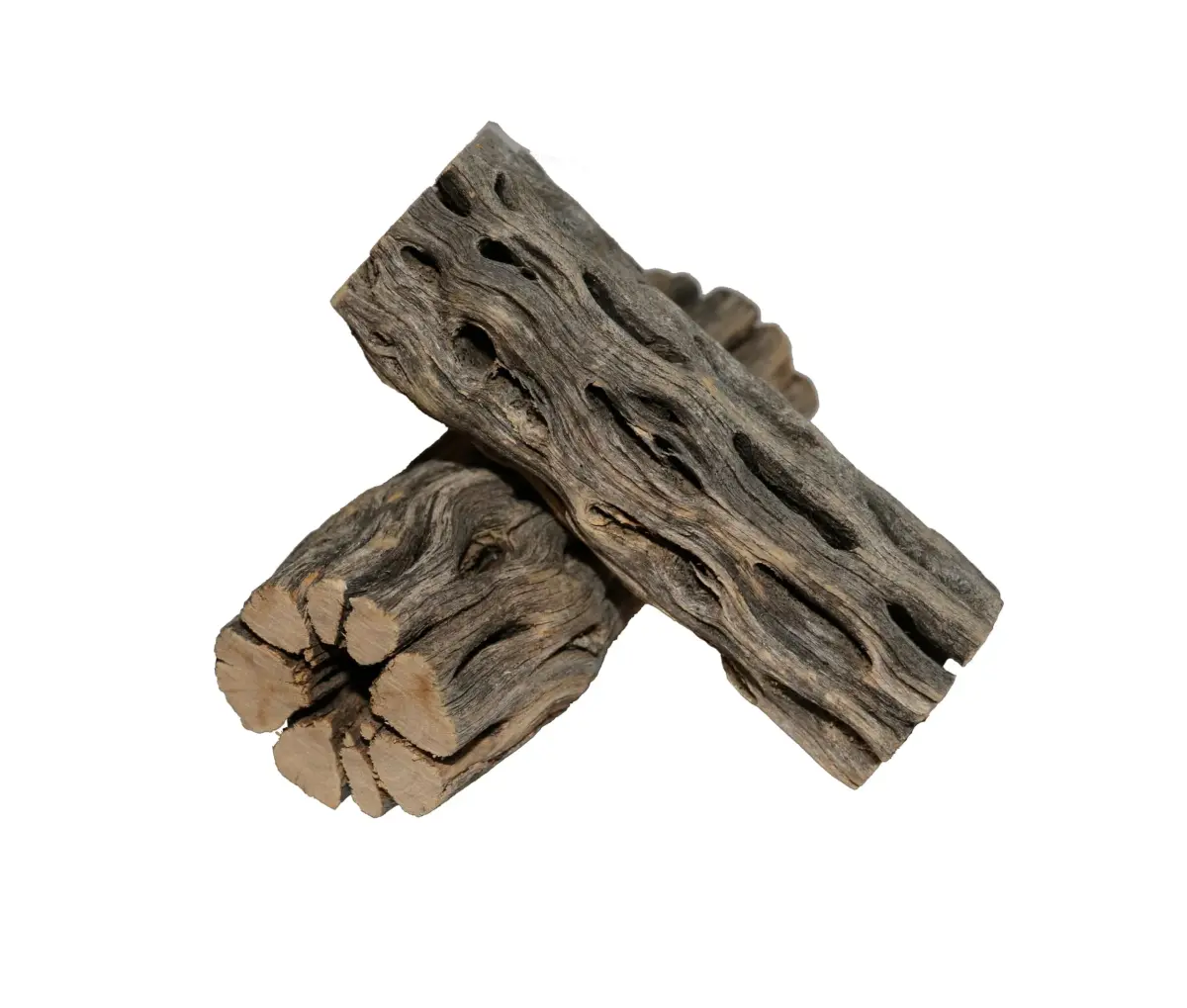 SoShrimp Natural Cholla Wood for Aquarium Decoration 20.32 cm (8 Inch) 2-Pack | Natural Aesthetic Appeal - main product image