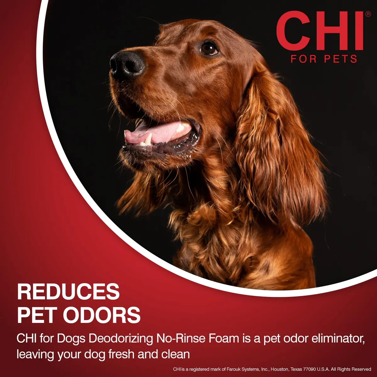 CHI for Dogs Deodorizing Waterless Foam Wash 8 Oz | No-Rinse, pH Balanced, Made in USA - view 3