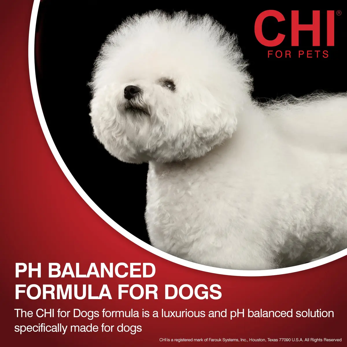 CHI for Dogs Deodorizing Waterless Foam Wash 8 Oz | No-Rinse, pH Balanced, Made in USA - view 4