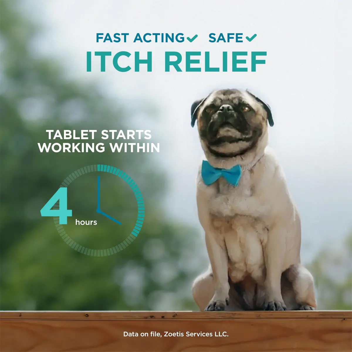 Apoquel 3.6 mg | Fast-Relief Anti-Itch Tablets for Dogs (enables Indian pet owners) - view 6