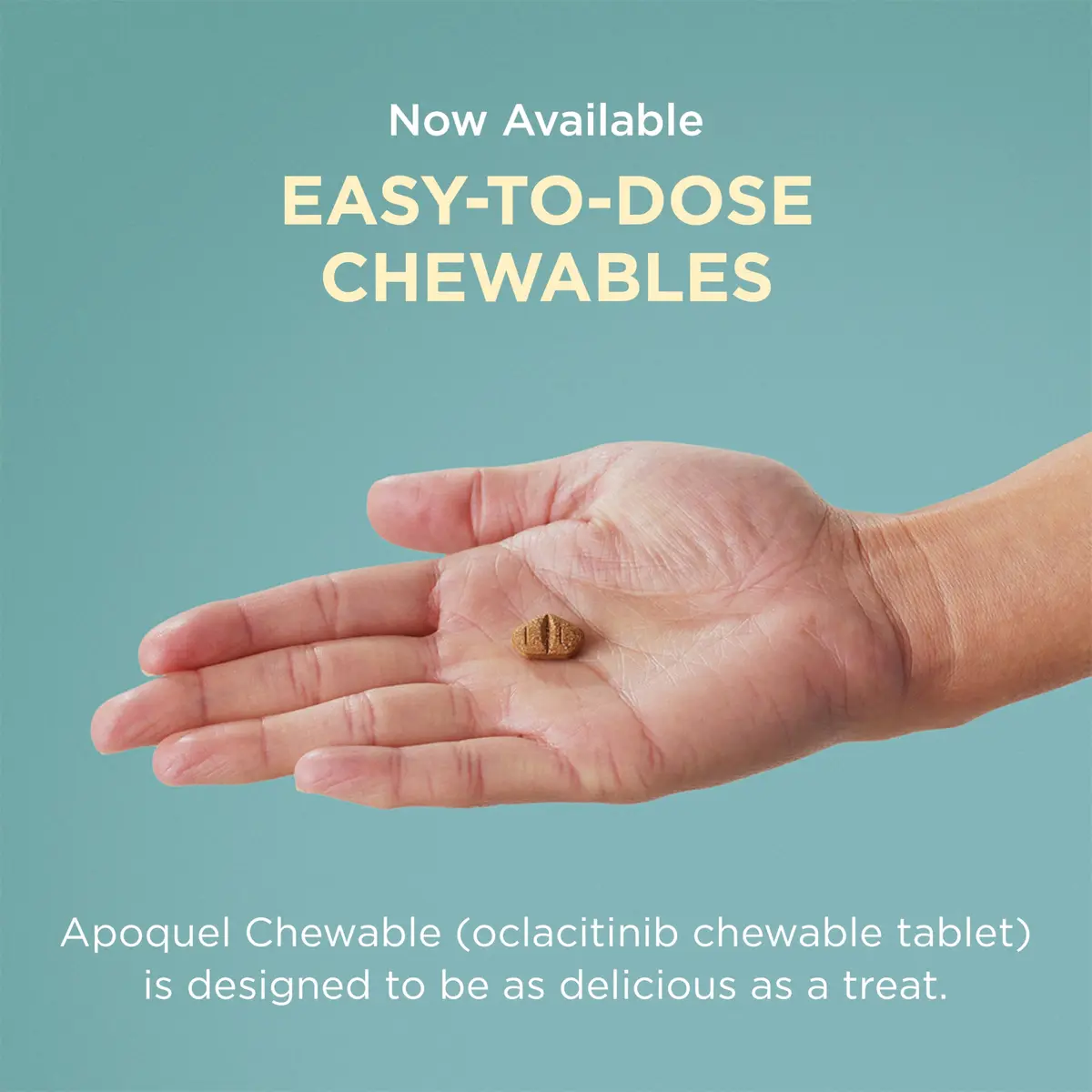 Apoquel 3.6 mg | Fast-Relief Anti-Itch Tablets for Dogs (enables Indian pet owners) - view 10
