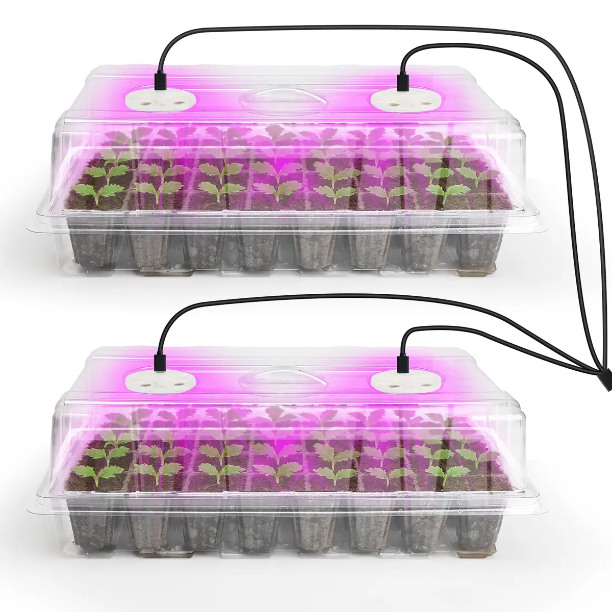 Bonviee Seed Starter Trays with Grow Lights, 80 Cells, 2 Pack | Indoor Germination Kit with Adjustable LED Vents - main product image