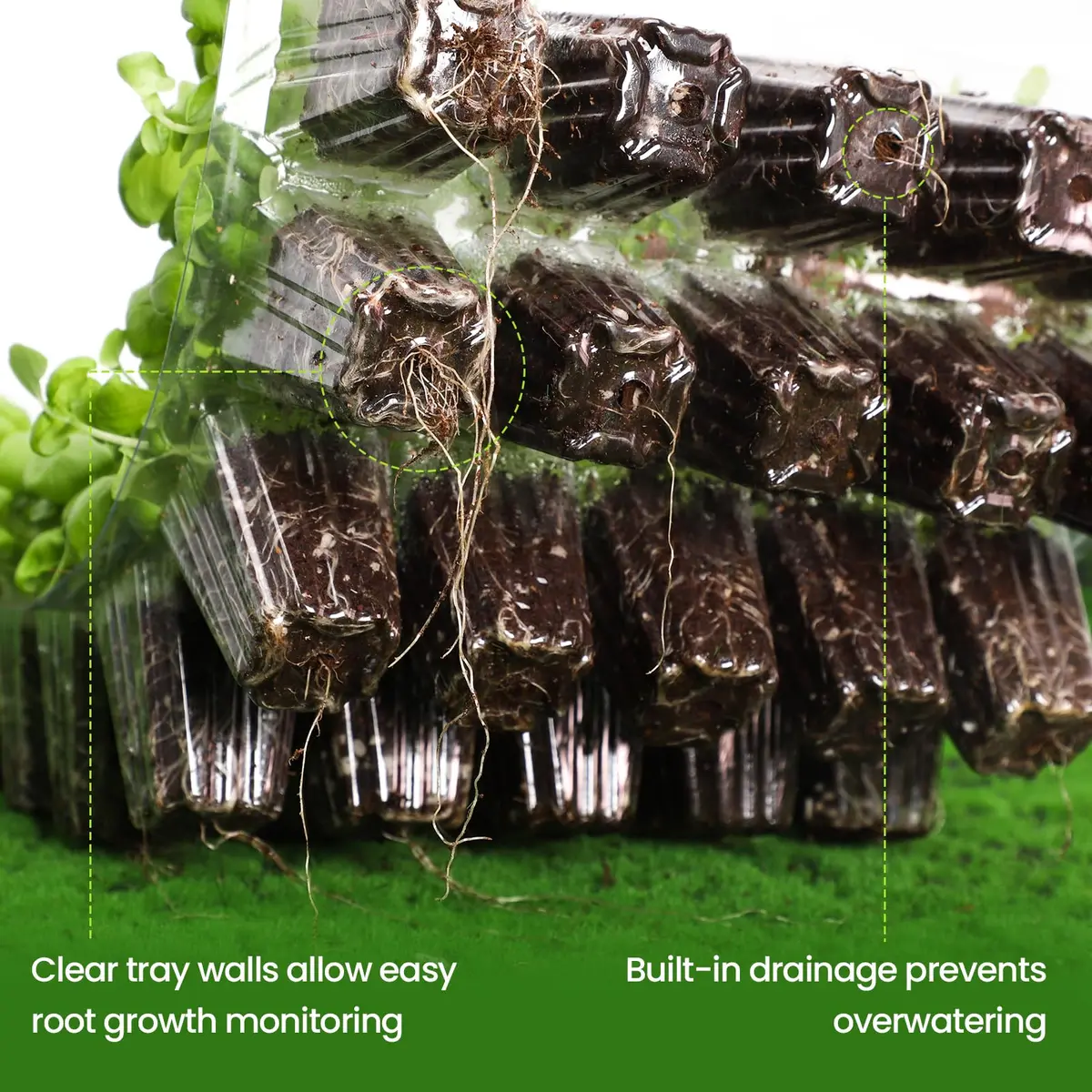 Bonviee Seed Starter Trays with Grow Lights, 80 Cells, 2 Pack | Indoor Germination Kit with Adjustable LED Vents - view 5
