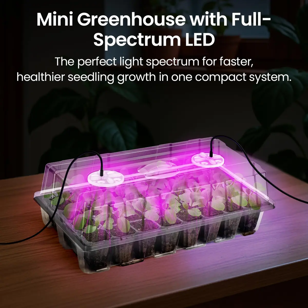 Bonviee Seed Starter Trays with Grow Lights, 80 Cells, 2 Pack | Indoor Germination Kit with Adjustable LED Vents - view 8