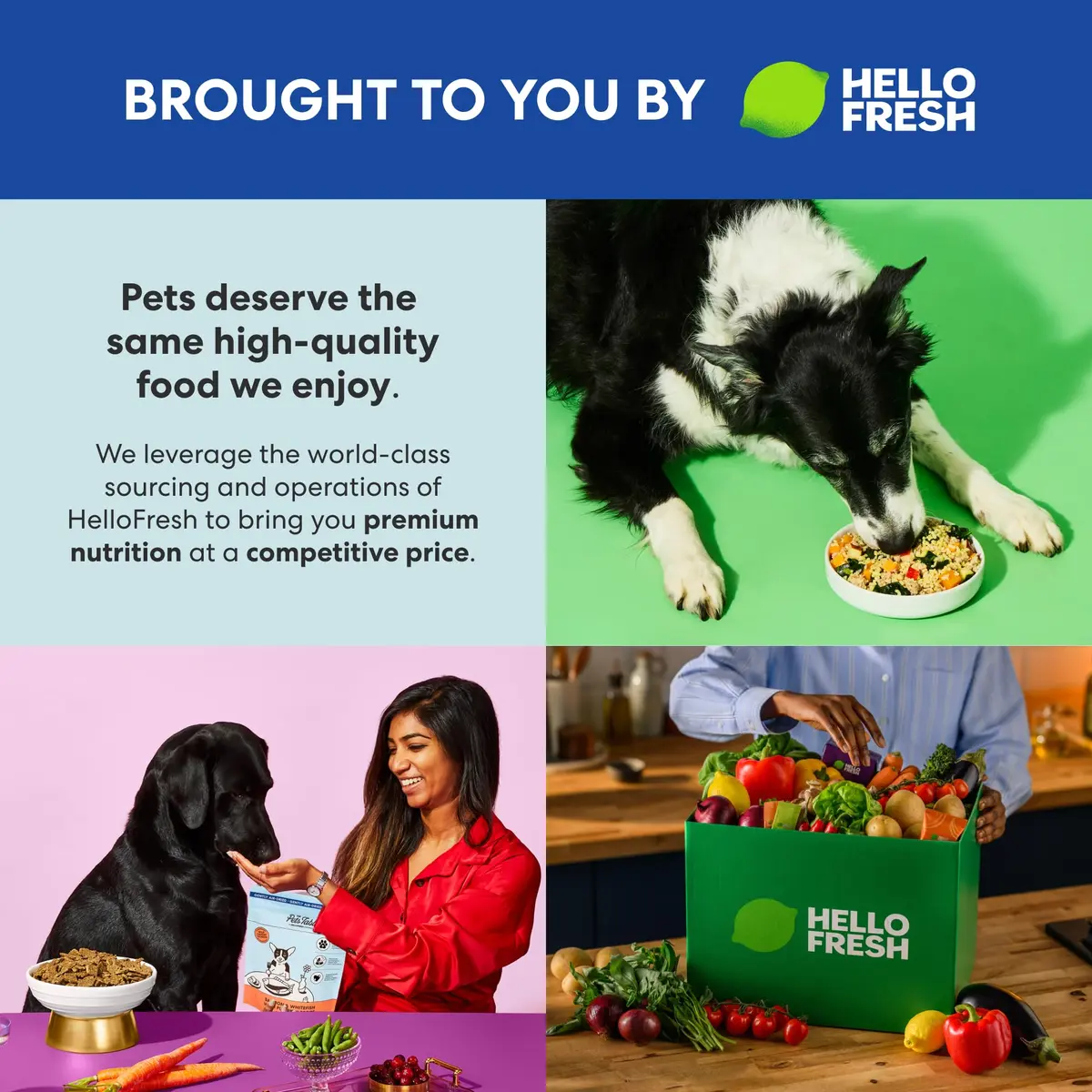 The Pets Table Air Dried Dog Food Salmon & Whitefish 3 lb | Grain-Free, Omega-Rich, Wholesome Nutrition - view 2