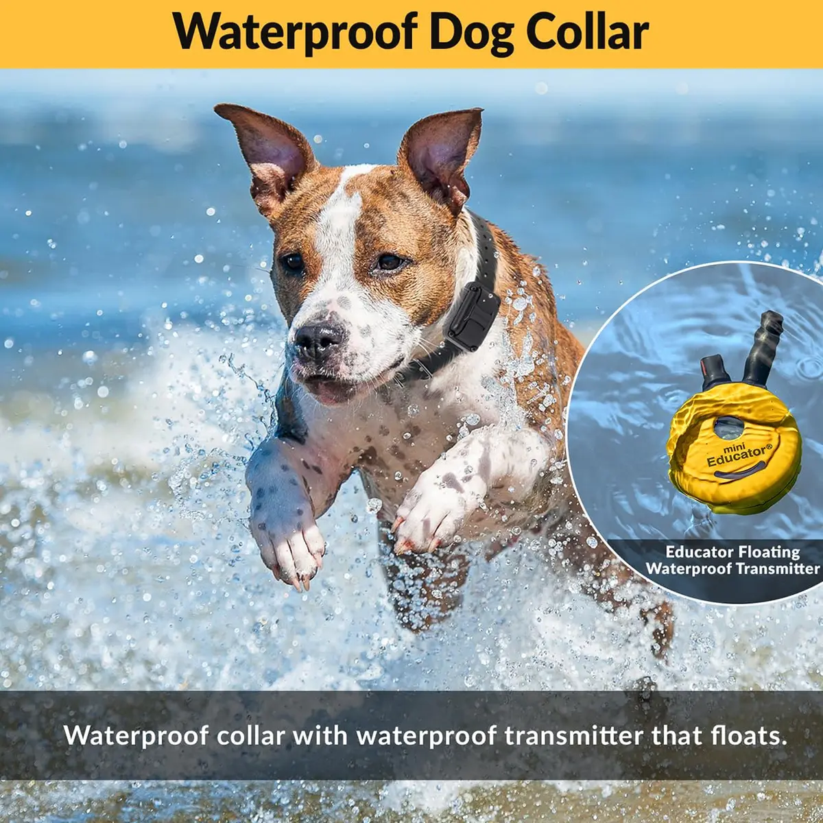 Mini Educator ET-300 Remote Dog Training Collar, Red | 1/2 Mile Range, Humane Vibration & Tone - view 5
