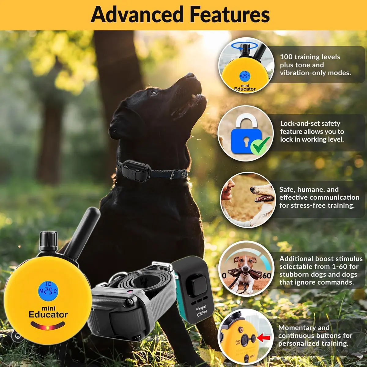 Mini Educator ET-300 Remote Dog Training Collar, Red | 1/2 Mile Range, Humane Vibration & Tone - view 2