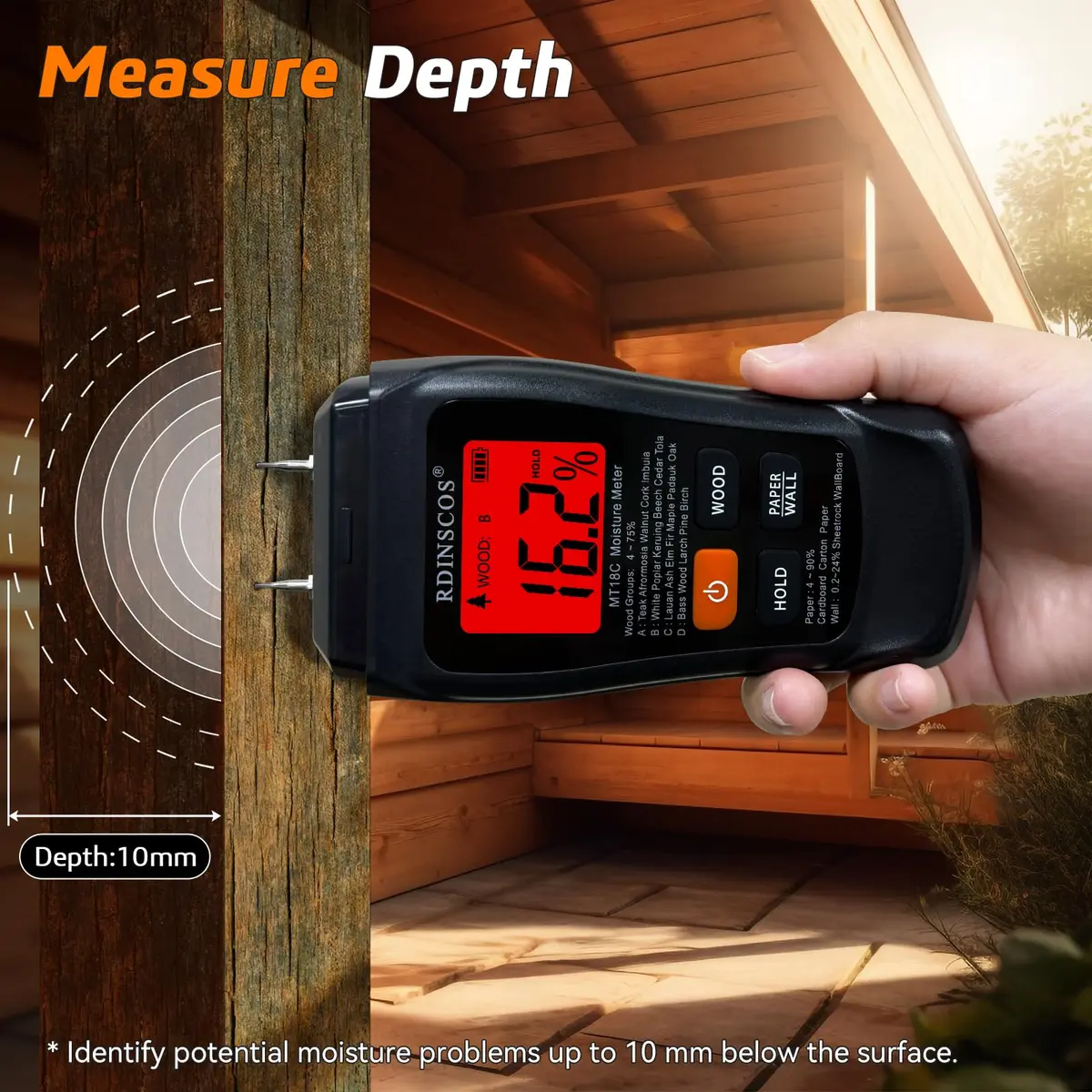RDINSCOS Digital Moisture Meter for Wood, Drywall & Building Materials | Pin-Type Moisture Detector with 4 Modes & LCD Display - view 9