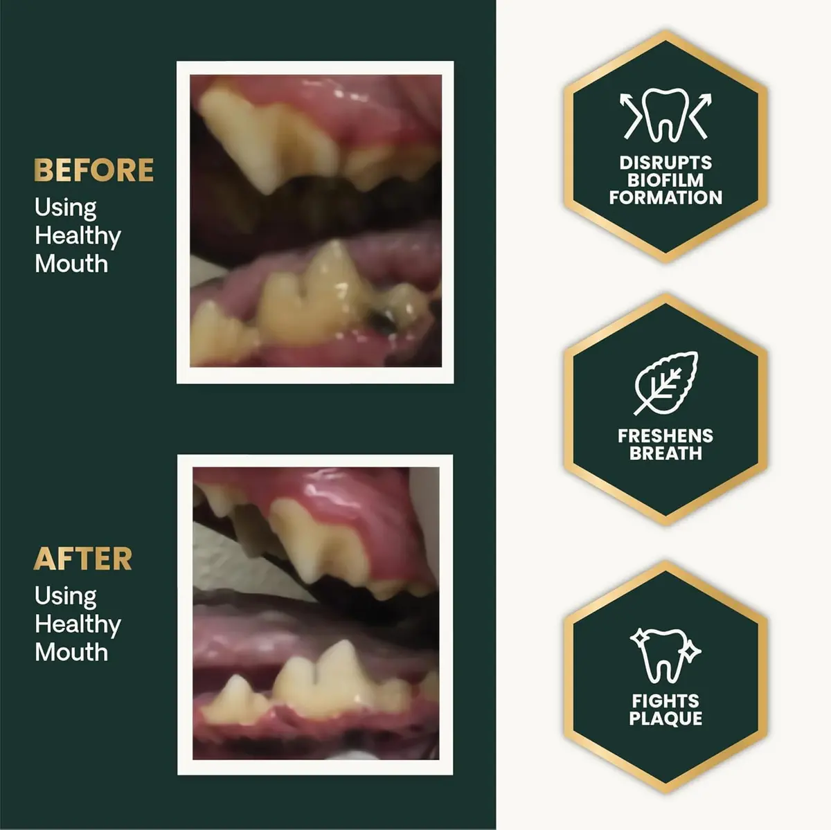 VetriScience Dental Care Powder for Dogs and Cats 2 X 4.2 Oz | Clinically Tested Oral Support - view 3