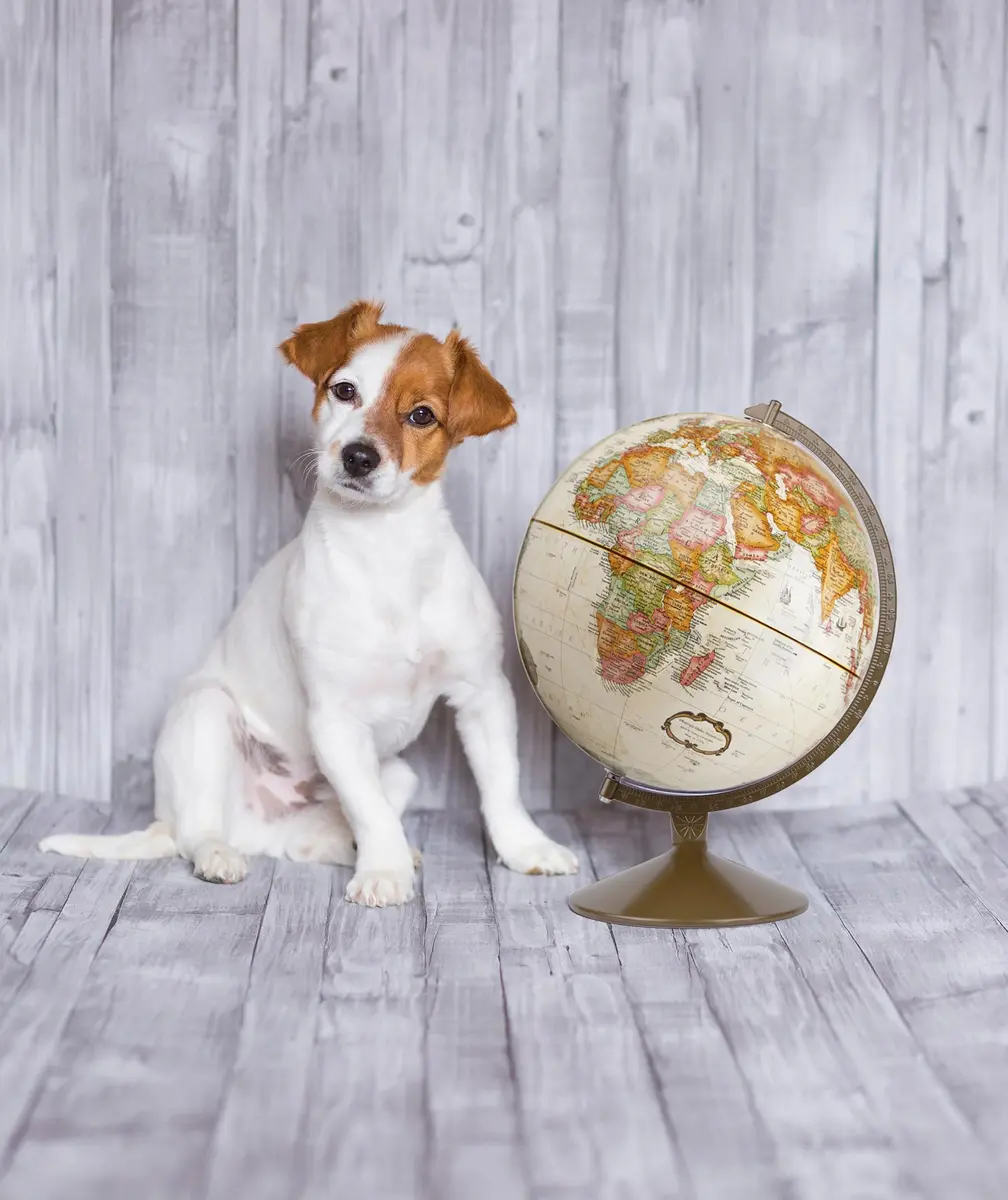 Replogle Franklin World Globe 12" Diameter Raised Relief Antique Ocean | U.S. Cartography - view 9