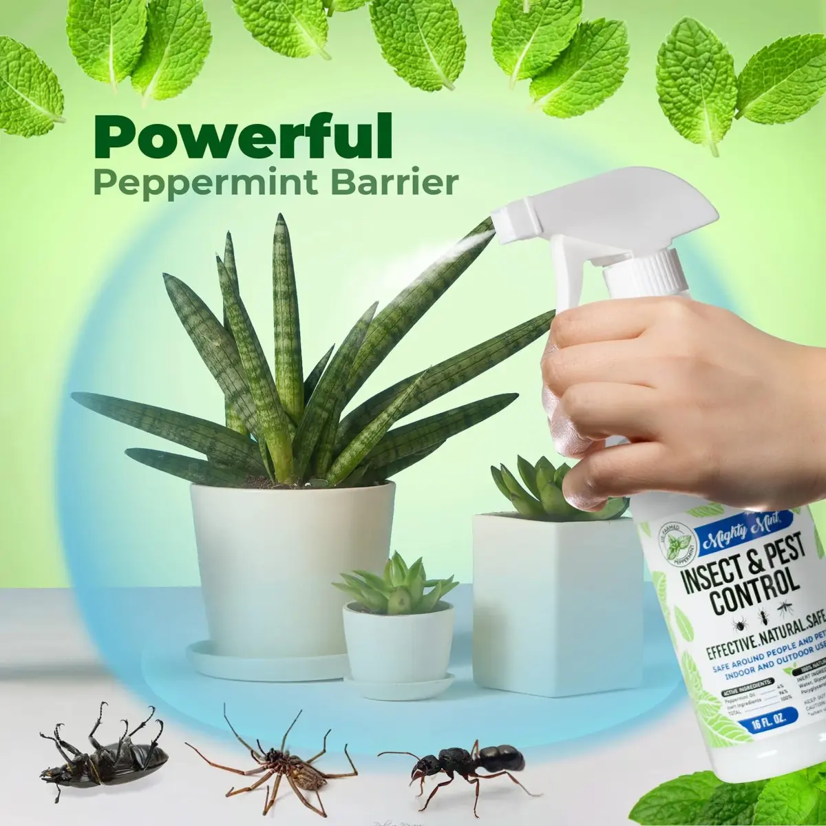 Mighty Mint Peppermint Oil Insect Repellent Spray 16 Fl Oz (Pack of 2) | Natural Spider & Ant Control - view 5