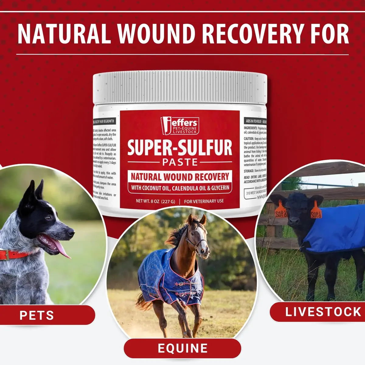 Jeffers Super Sulfur Natural Healing Paste for Dogs, Cats & Horses 8 oz | Wound Care & Skin Support - view 4