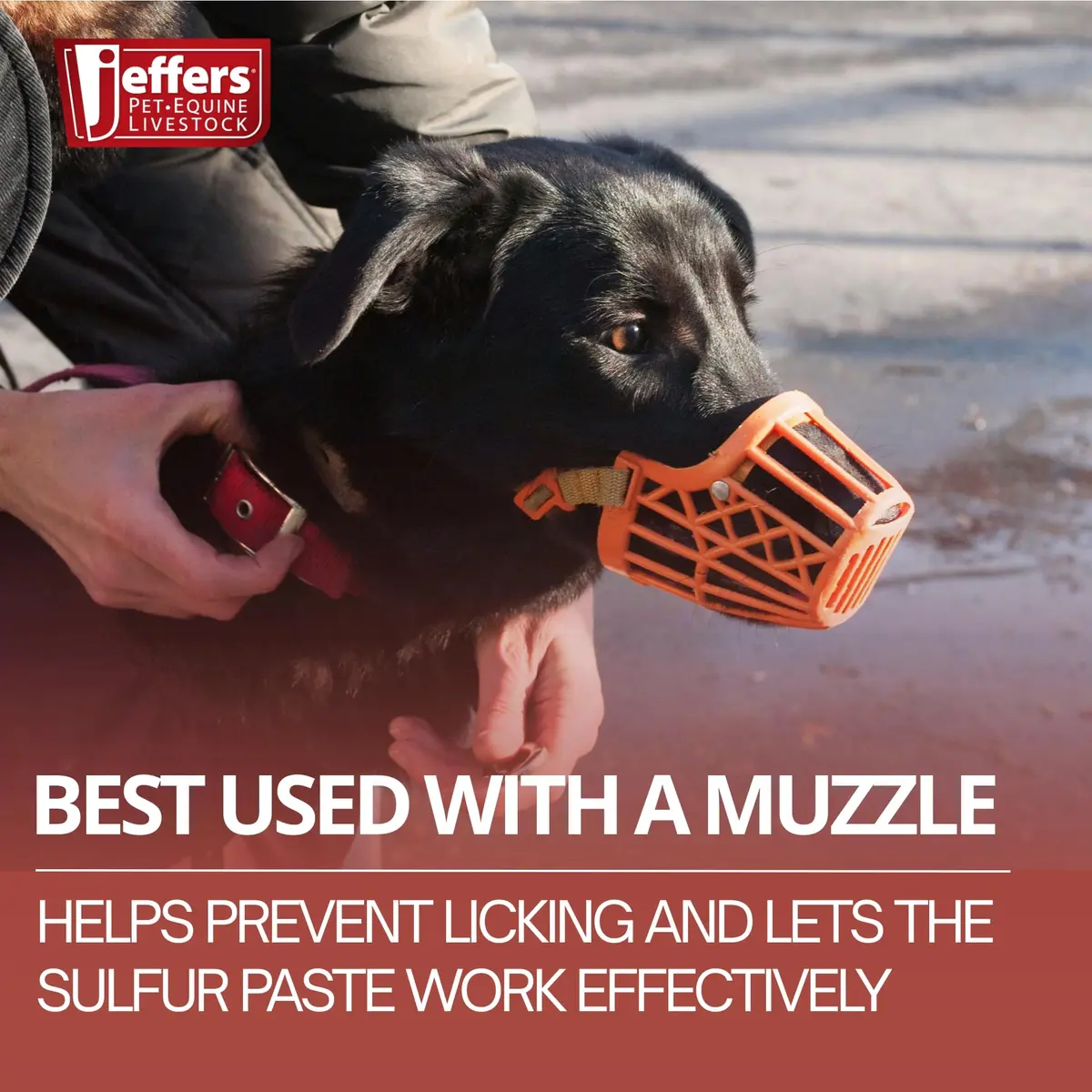 Jeffers Super Sulfur Natural Healing Paste for Dogs, Cats & Horses 8 oz | Wound Care & Skin Support - view 5