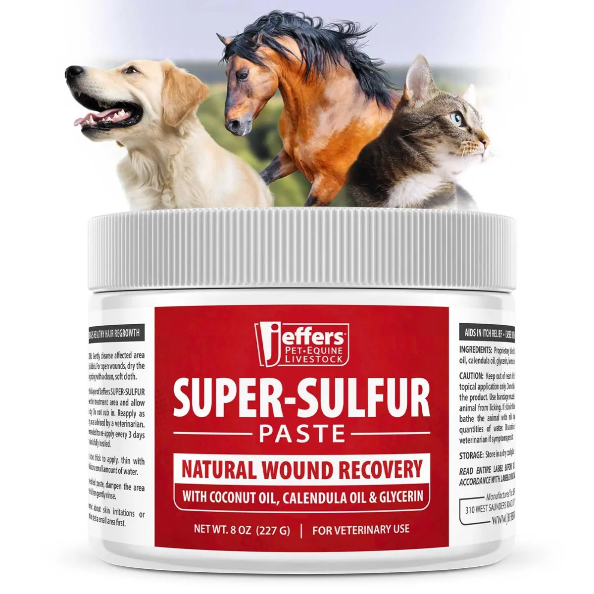 Jeffers Super Sulfur Natural Healing Paste for Dogs, Cats & Horses 8 oz | Wound Care & Skin Support - main product image