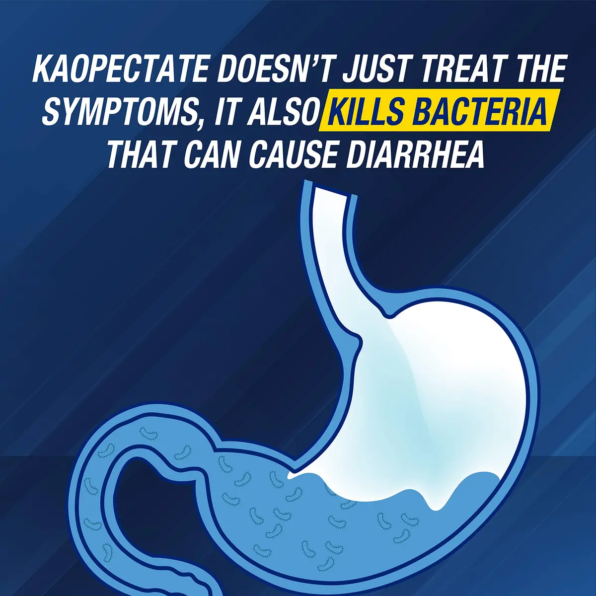 Kaopectate Diarrhea Medication for Adults, 24 Strawberry Soft Chews, 2 Pk | Fast Relief for Upset Stomach & Gas - view 6