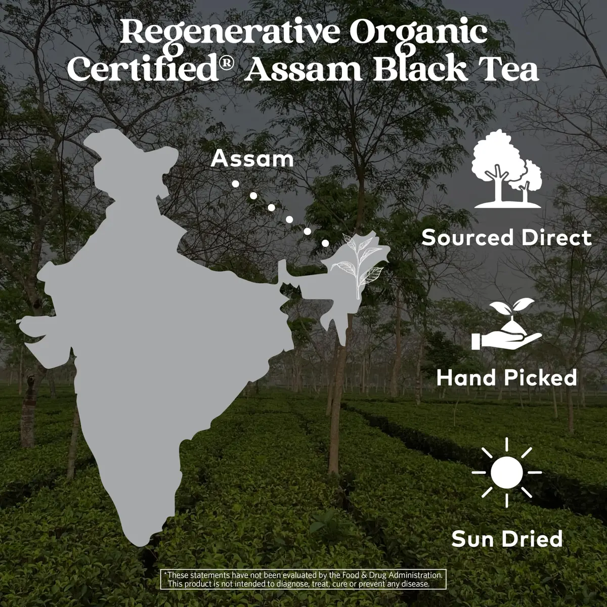 ORGANIC INDIA Purely Assam Black Tea 18 Bags | USDA Organic, Regenerative Certified - view 3