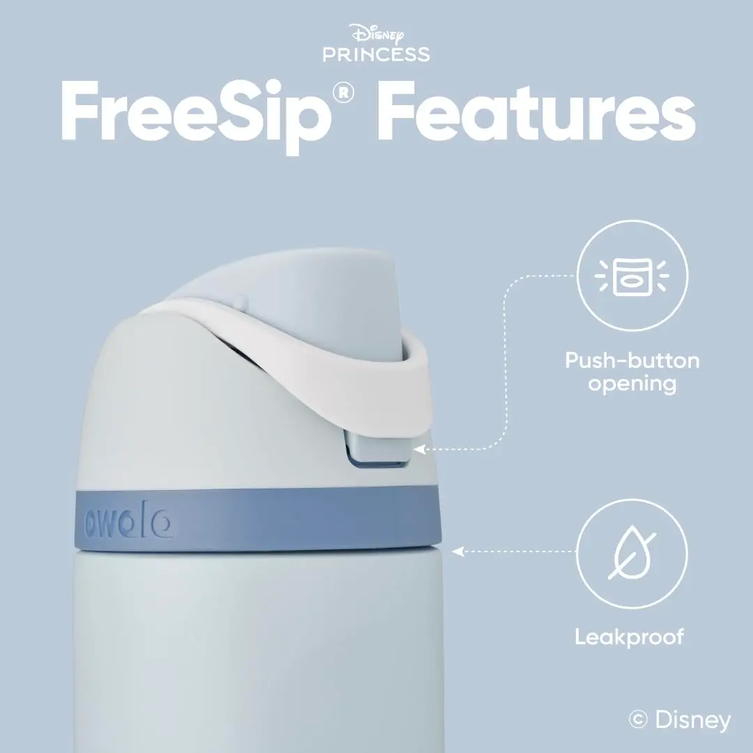 Owala Princess FreeSip Stainless Steel Water Bottle 24 oz Cinderella | Disney Princess Hydration - view 4