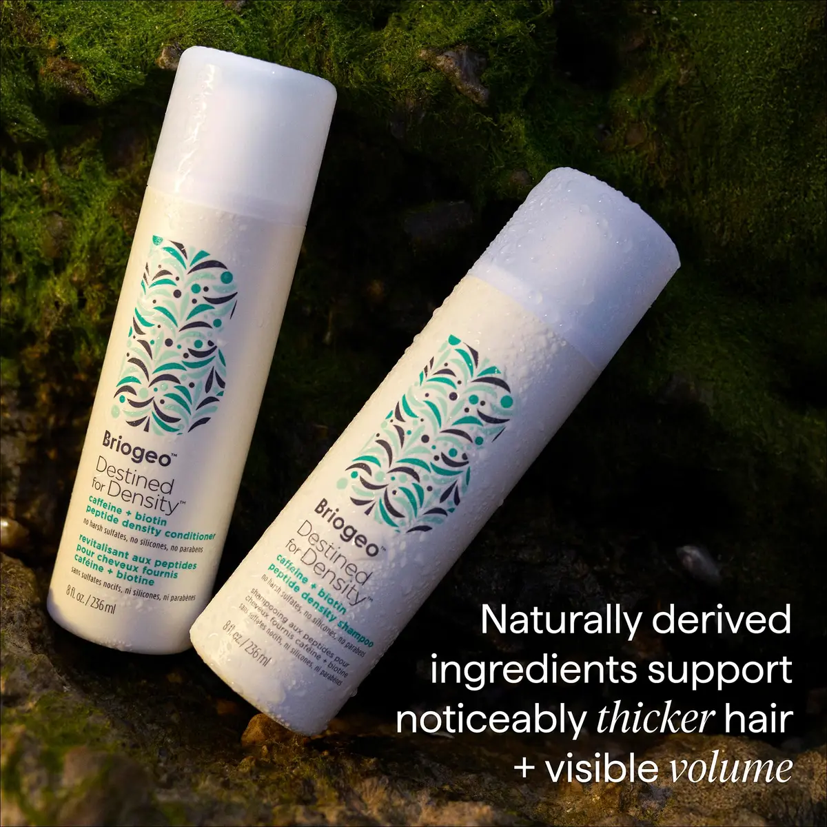 Briogeo Destined for Density Conditioner 2 Fl Oz | Supports Thicker, Fuller Hair - view 8