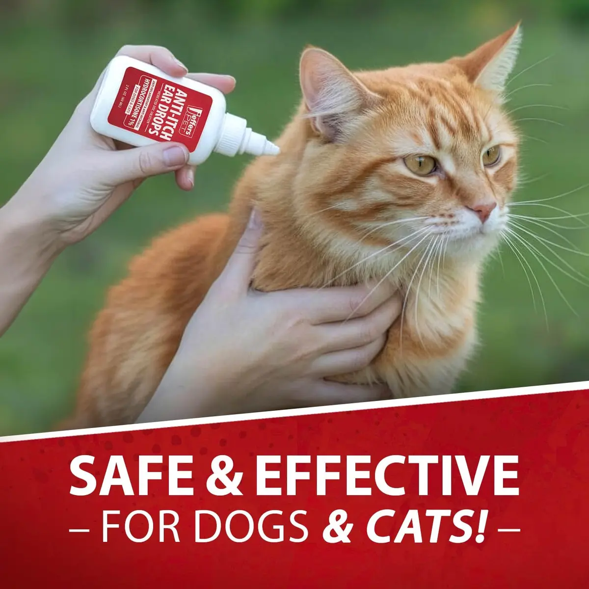 Jeffers Anti-Itch Ear Drops for Dogs & Cats 2 fl oz | Supports Ear Comfort & Hygiene - view 8