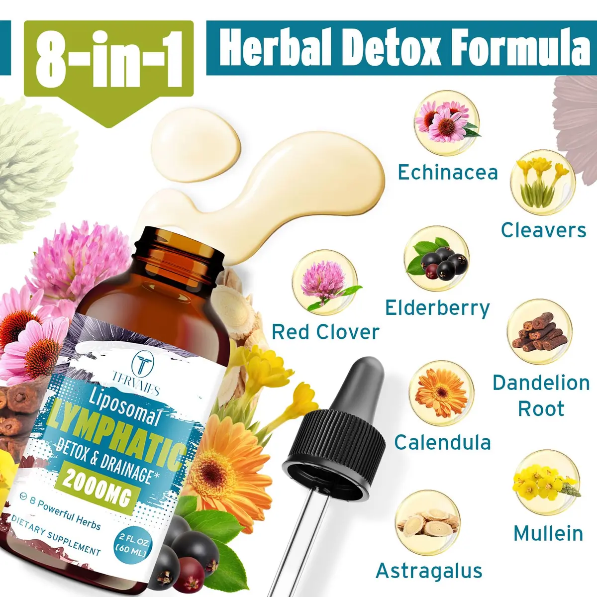 Tervaies Liposomal Lymphatic Detox & Drainage Drops – 2000mg Herbal Blend with Elderberry & Echinacea | Supports Lymphatic Flow & Immunity (110c) - view 4