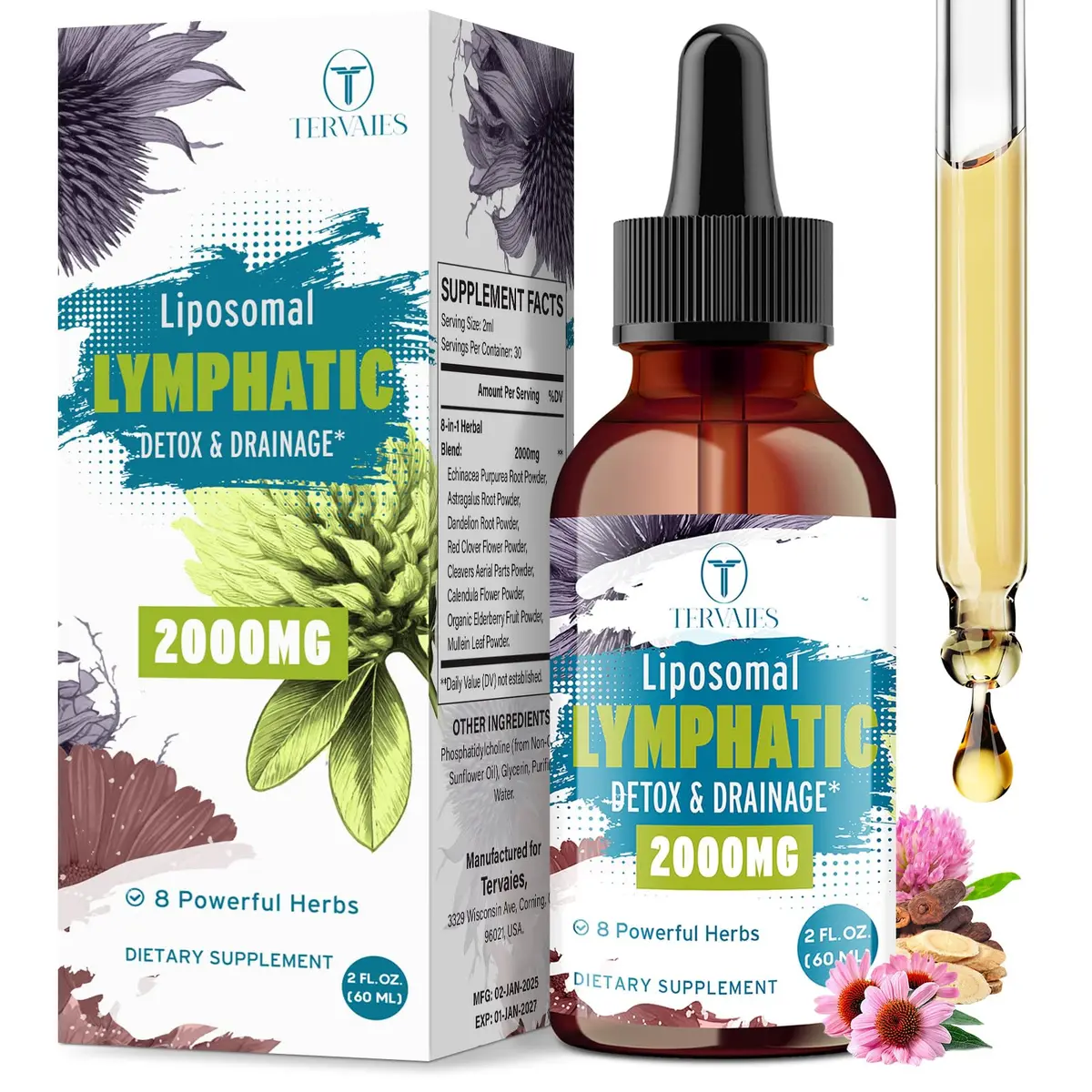Tervaies Liposomal Lymphatic Detox & Drainage Drops – 2000mg Herbal Blend with Elderberry & Echinacea | Supports Lymphatic Flow & Immunity (110c) - main product image