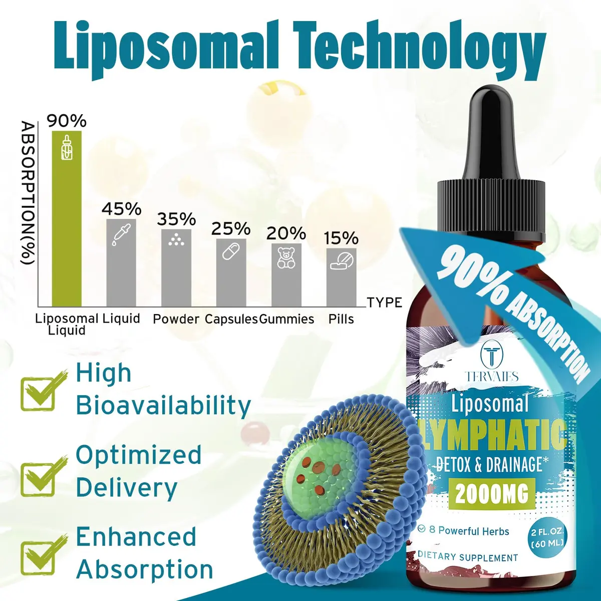 Tervaies Liposomal Lymphatic Detox & Drainage Drops 2000mg Herbal Blend with Elderberry & Echinacea | Supports Lymphatic & Immune Health - view 4