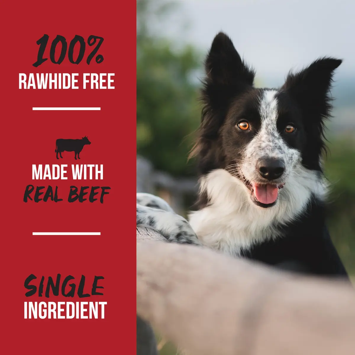 Grillerz Thick Bully Sticks 2 Count | Rawhide-Free Beef Chews for Dogs - view 5