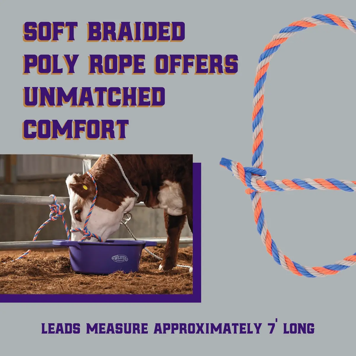 Weaver Livestock Braided Poly Rope Cattle Halter, Adjustable, Modern Style Cow Calf Halter, Livestock Handling Equipment for Showing, Blue/Coral/Gray (Pack of 2) - view 3