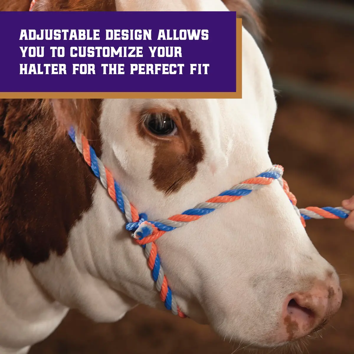 Weaver Livestock Braided Poly Rope Cattle Halter, Adjustable, Modern Style Cow Calf Halter, Livestock Handling Equipment for Showing, Blue/Coral/Gray (Pack of 2) - view 4