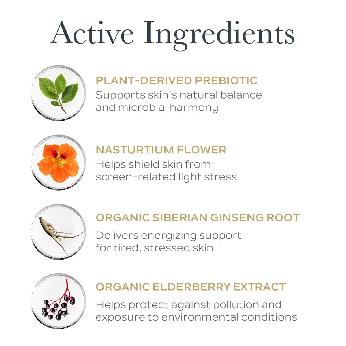 SOTHYS Glow Defense Cream Daily Face Moisturizer for Dull Skin | Hydrates & Refines Texture - view 4