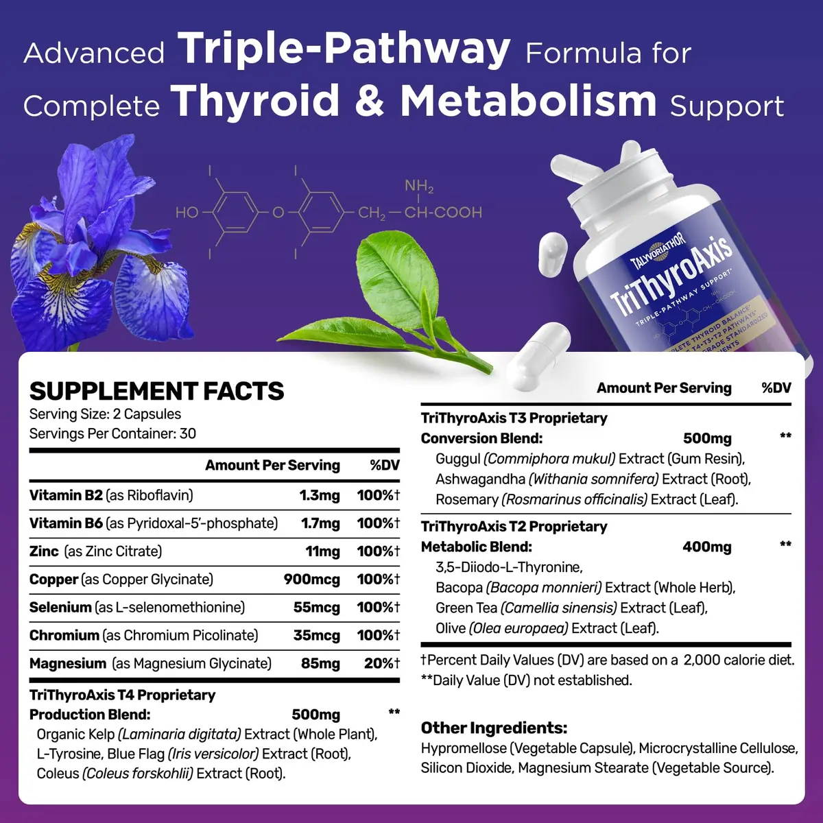 Talyvorlathor Thyroid Support Supplement for Women & Men – Triple-Pathway Metabolism & Energy | 60 Capsules - view 2