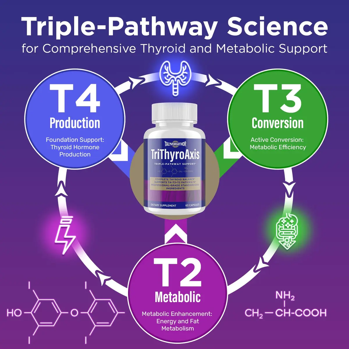 Talyvorlathor Thyroid Support Supplement for Women & Men – Triple-Pathway Metabolism & Energy | 60 Capsules - view 3