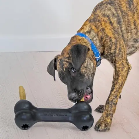 KONG Extreme Goodie Bone Natural Rubber Dog Toy for Extra Large Dogs | Power Chewers, Treat Stuffing, USA-Sourced - view 2