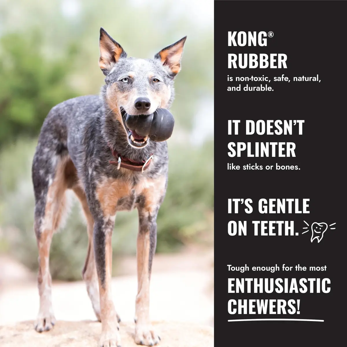 KONG Extreme Goodie Bone Natural Rubber Dog Toy for Extra Large Dogs | Power Chewers, Treat Stuffing, USA-Sourced - view 5