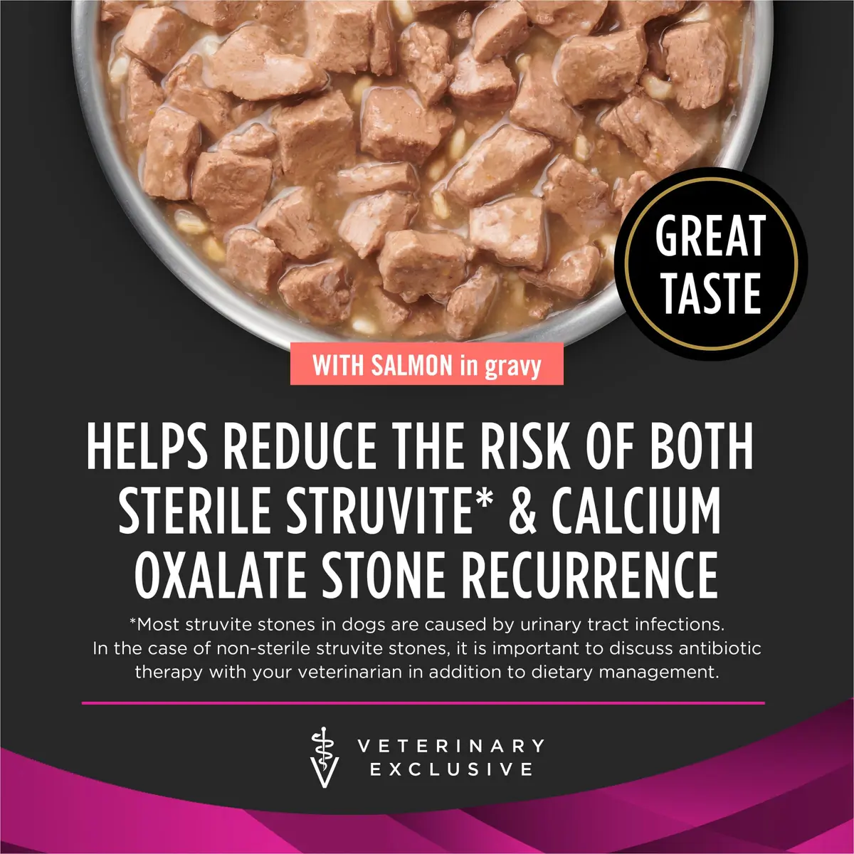 Pro Plan Veterinary Diets Purina UR Savory Selects Wet Dog Food 13.3oz (12) | Supports Urinary Health - view 2